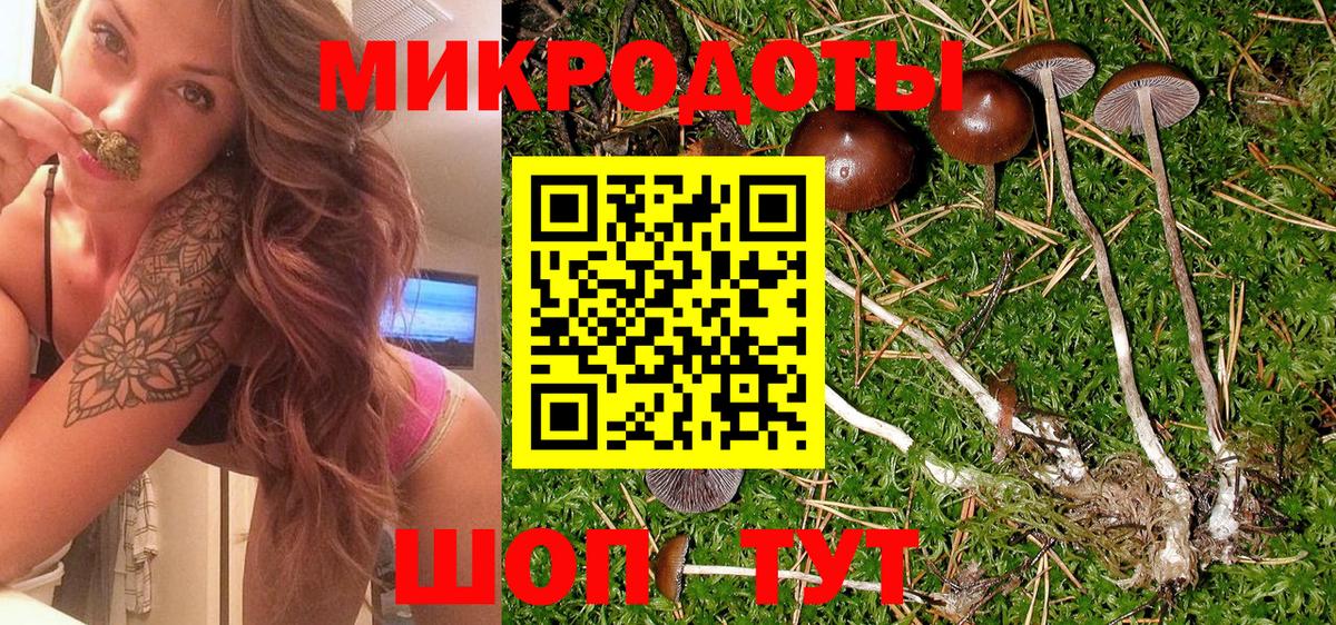 Галлюциногенные грибы Magic Shrooms  Псилоцибиновые грибы Cubensis  Вход с VPN  Кушва 